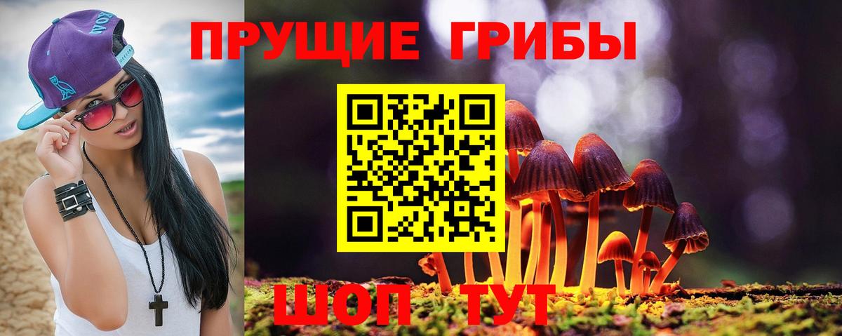 Псилоцибиновые грибы мухоморы Черемхово